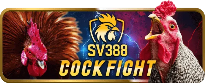 Hỗ trợ helo888